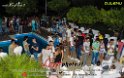 002AlBergamino_PoolSummerParty_LovePhoto070814