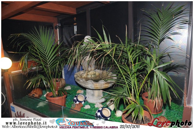 265Aquarius_Party_Night_LovePhoto_22102011.jpg