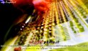 060Facolta_di_Architettura_Night_LovePhoto30052013