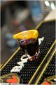 027Bar_Rhegium_LovePhoto_04052012
