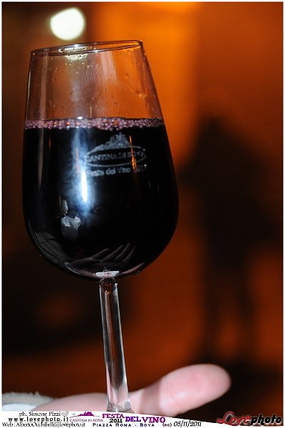 059Bova_Festa_del_Vino_LovePhoto-05112011.jpg