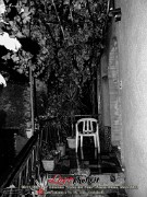 245Bova_9Ediz_Festa_del_Vino_LovePhoto08112014