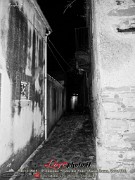 257Bova_9Ediz_Festa_del_Vino_LovePhoto08112014