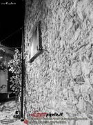 309Bova_9Ediz_Festa_del_Vino_LovePhoto08112014