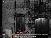 381Bova_9Ediz_Festa_del_Vino_LovePhoto08112014