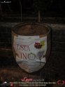 110Bova_8Ediz_Festa_del_Vino_LovePhoto-09112013