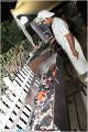 059CalaAzul_LiveMusic_Party_LovePhoto_16062012