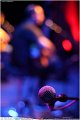 168CalaAzul_LiveMusic_Party_LovePhoto_16062012