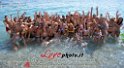 014Lido_El_Caribe_SunDayParty_LovePhoto07072013
