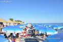 112ElCaribe_Sunday_Party_LovePhoto16062013