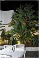 023Kalura_Night_Party_LovePhoto_05052012