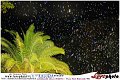 010Kalura_Swimming_Pool_Party_LovePhoto_19112011