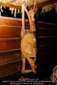 139La_Cubana_NightParty_LovePhoto08082014