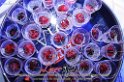 277Lido_Mirablu_Party_LovePhoto21062013