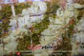 288Lido_Mirablu_Party_LovePhoto21062013