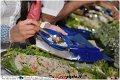 065Lido_Mirablu_Party_LovePhoto_23062012