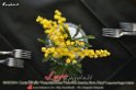 066LunaRibelle_FestaDelleDonne_08032014