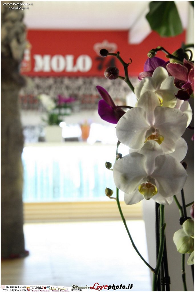 065Club_Prive_Molo74_LovePhoto_01072012.jpg
