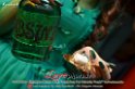 235Random_Music_Club_MaskParty_LovePhoto04032014
