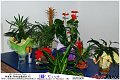 072Teb_Club_Party_LovePhoto-25112011