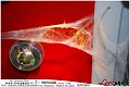 119Vintage_Music_Club_Halloween_Party_LovePhoto-31102011