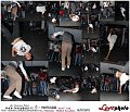 228Vintage_Music_Club_Halloween_Party_LovePhoto-31102011